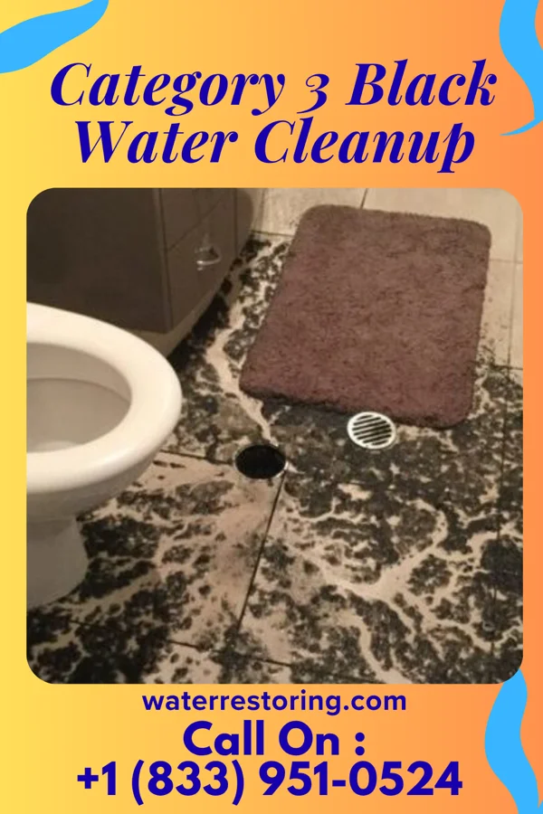 Category 3 Black Water Cleanup in Meadow Bridge, WV