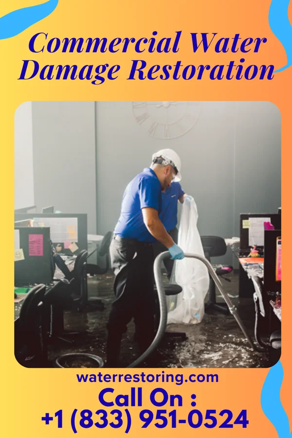 Commercial Water Damage Restoration in Meadow Bridge, WV