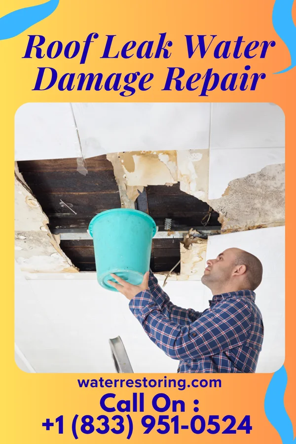 Roof Leak Water Damage Repair in Meadow Bridge, WV