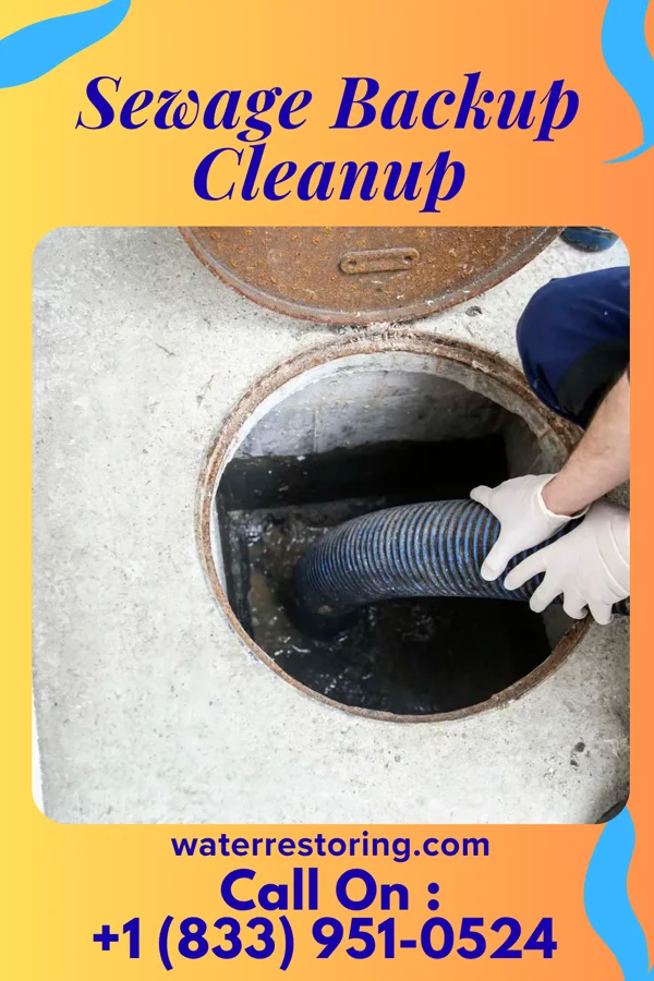 Sewage Backup Cleanup in Meadow Bridge, WV