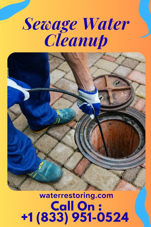 Sewage Water Cleanup in Meadow Bridge, WV