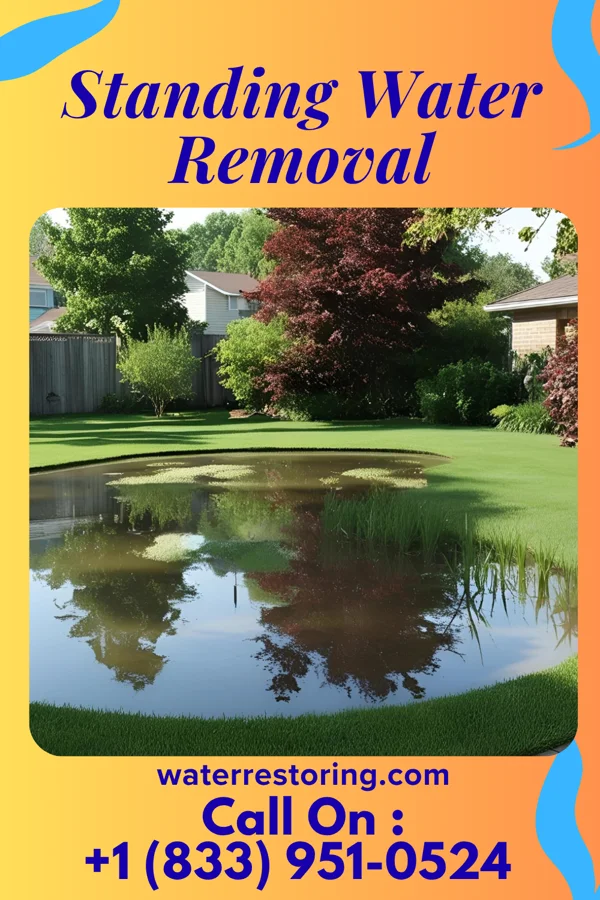 Standing Water Removal in Meadow Bridge, WV